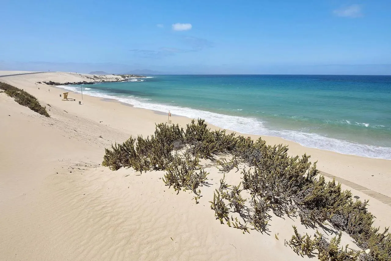 Apartamento Betty G Puerto del Rosario  Spanien